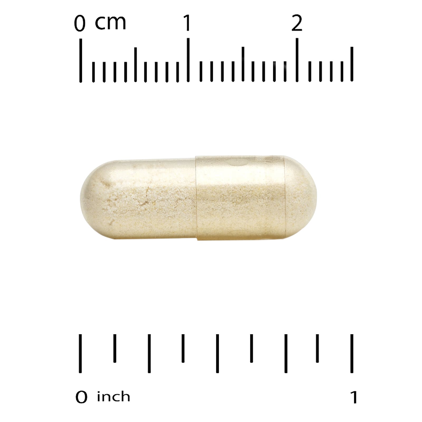 146-1.jpg