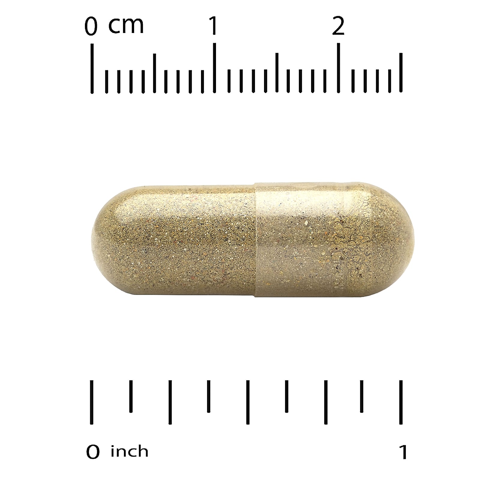 174.jpg