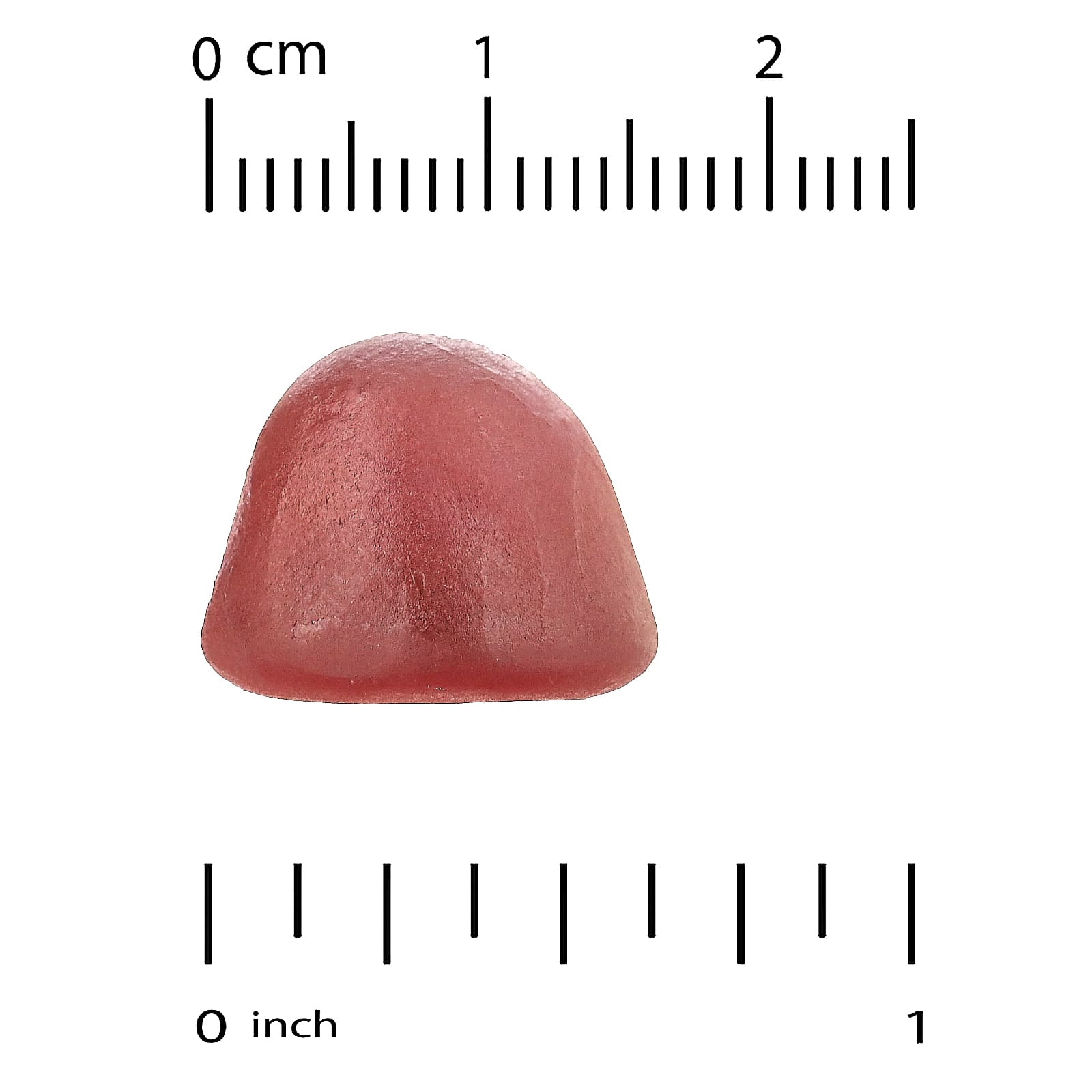 242-1.jpg