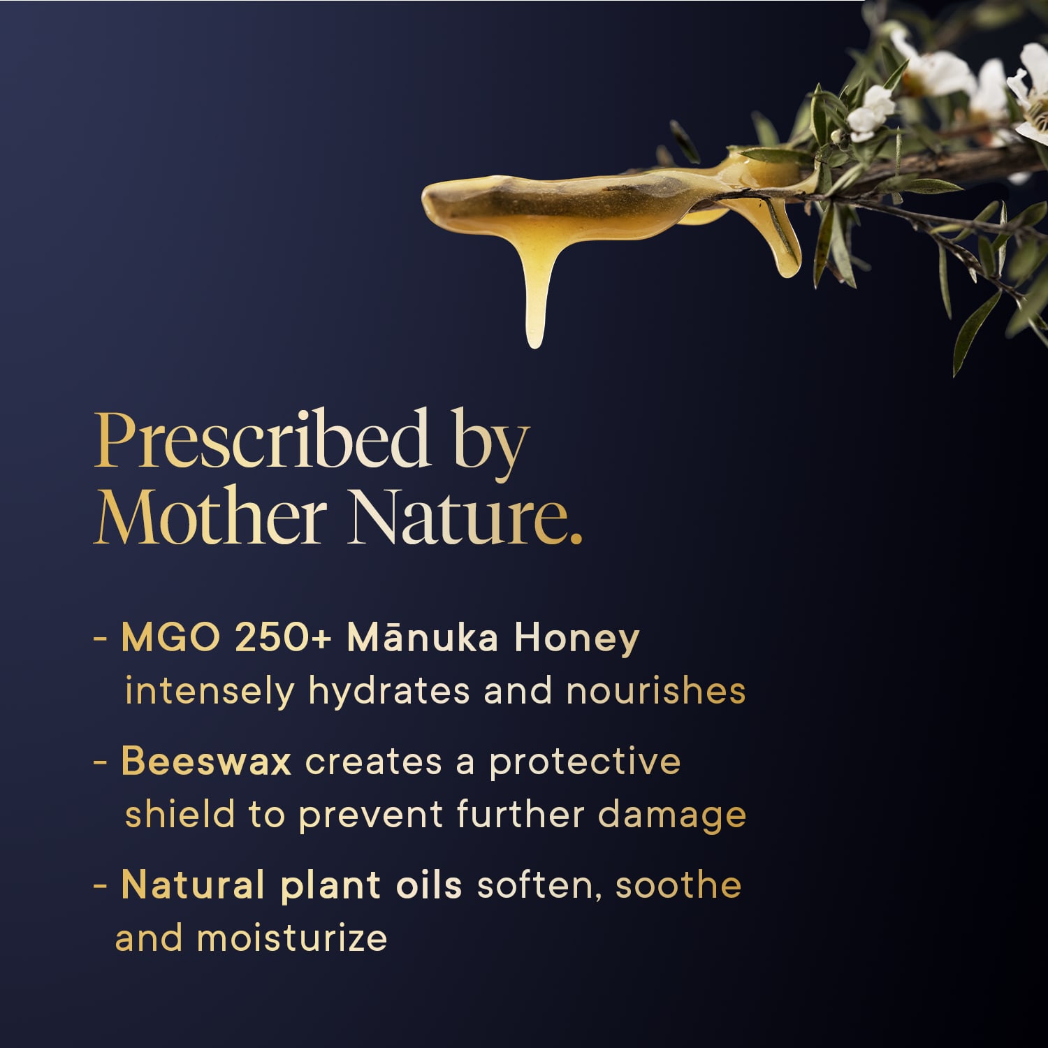 25-13.jpg