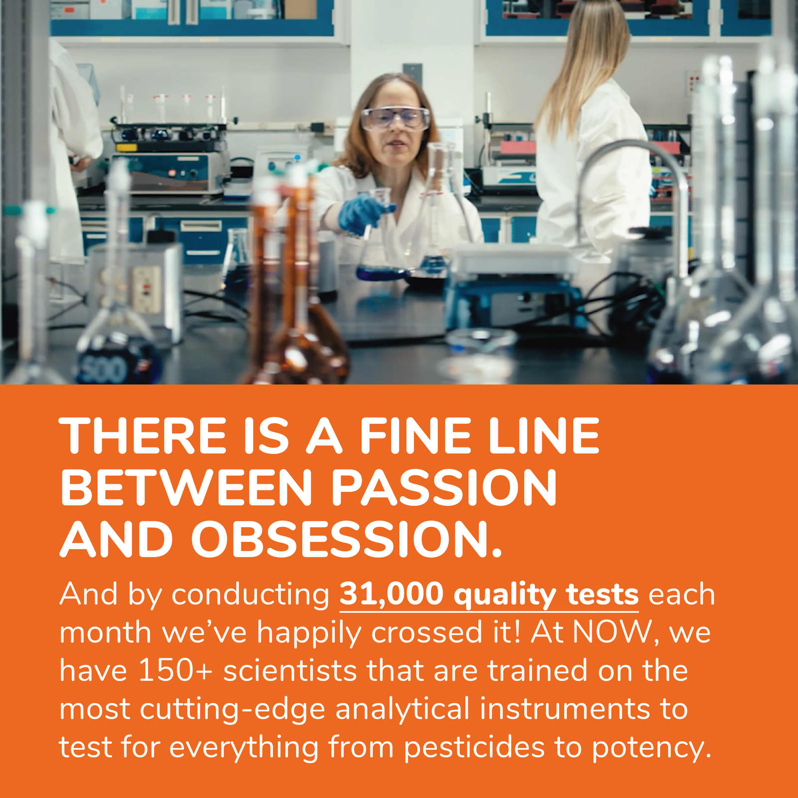 41-7.jpg