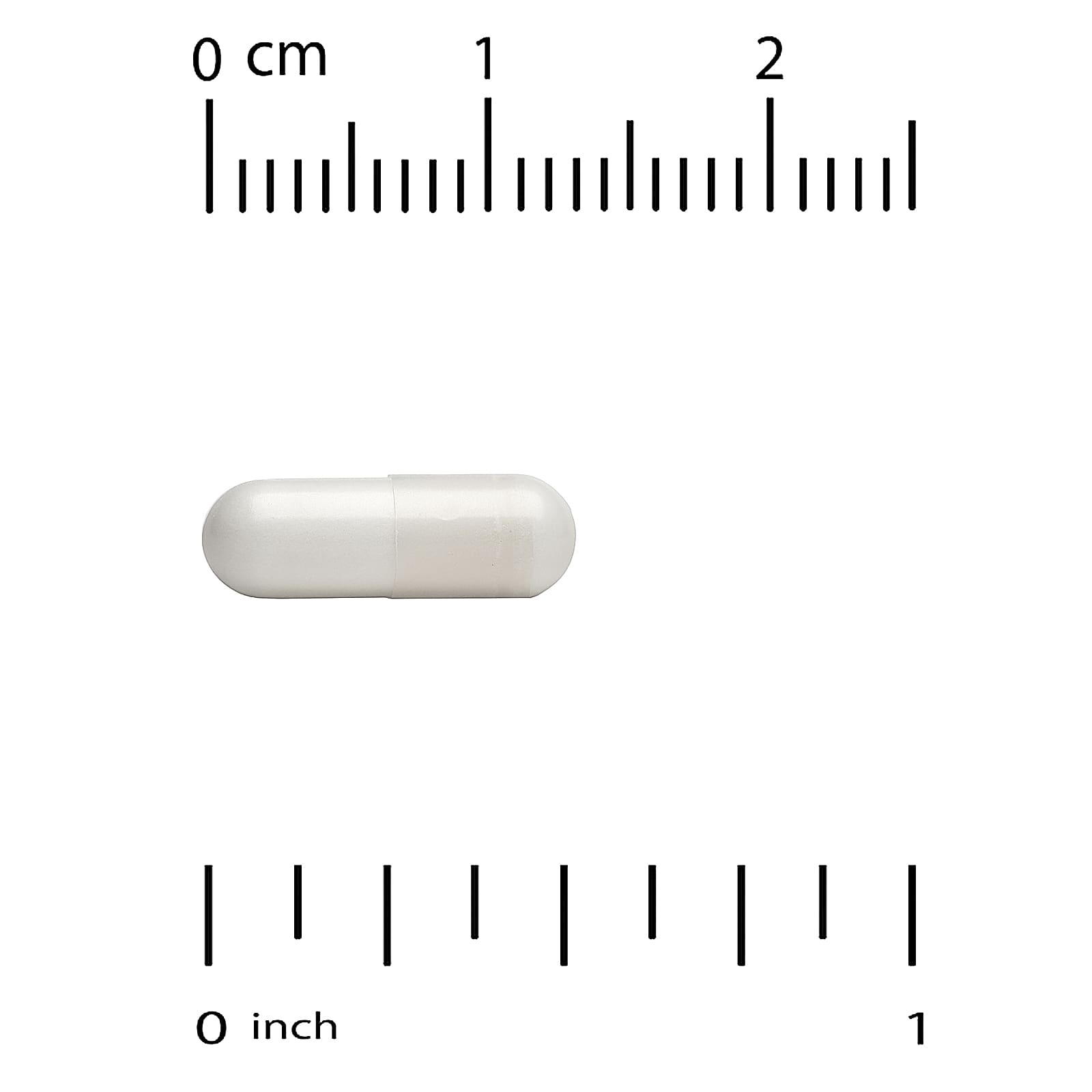 62.jpg