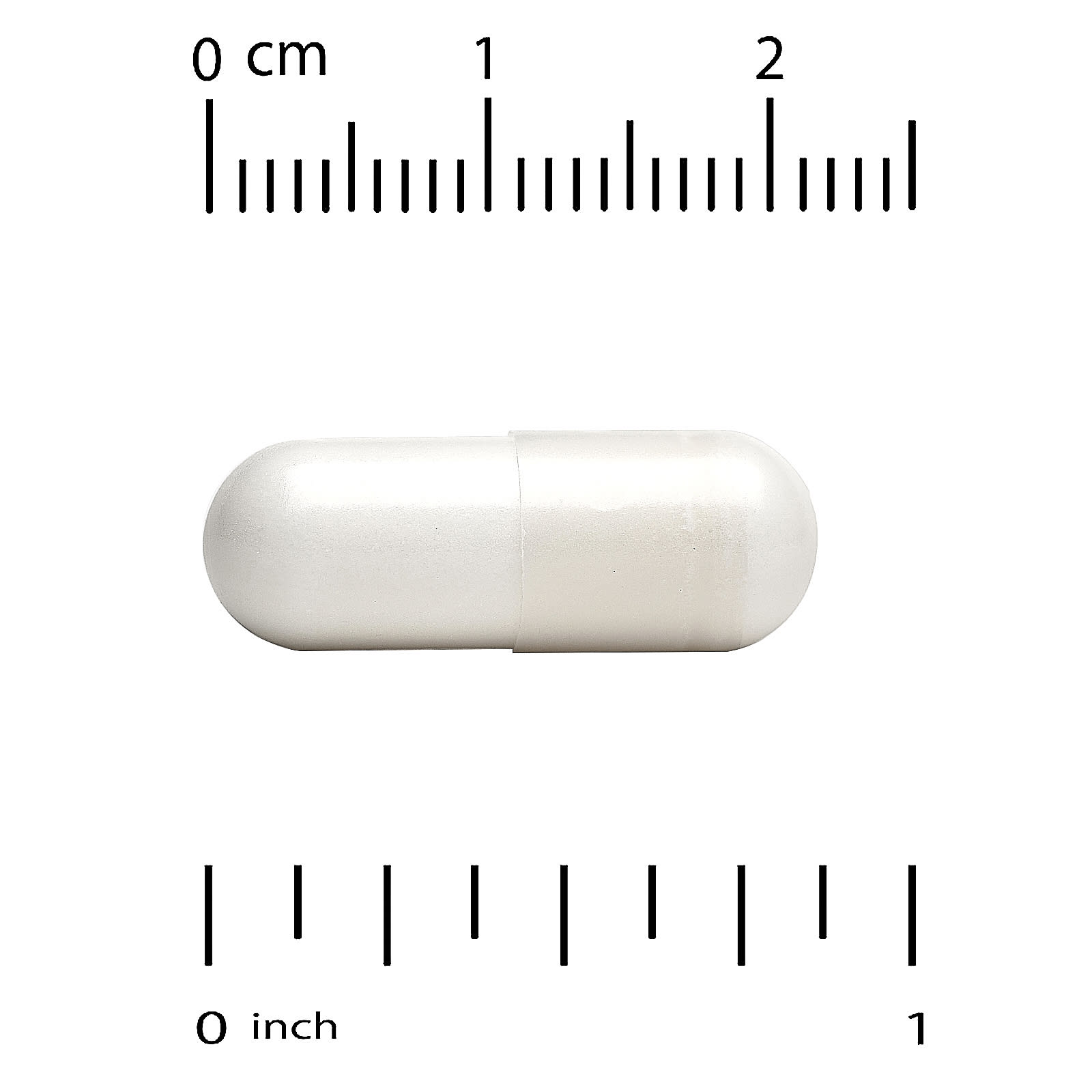 97.jpg